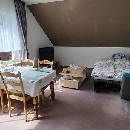 Haus Rehblick II, Wg 4 Lejlighed Sankt Andreasberg Eksteriør billede